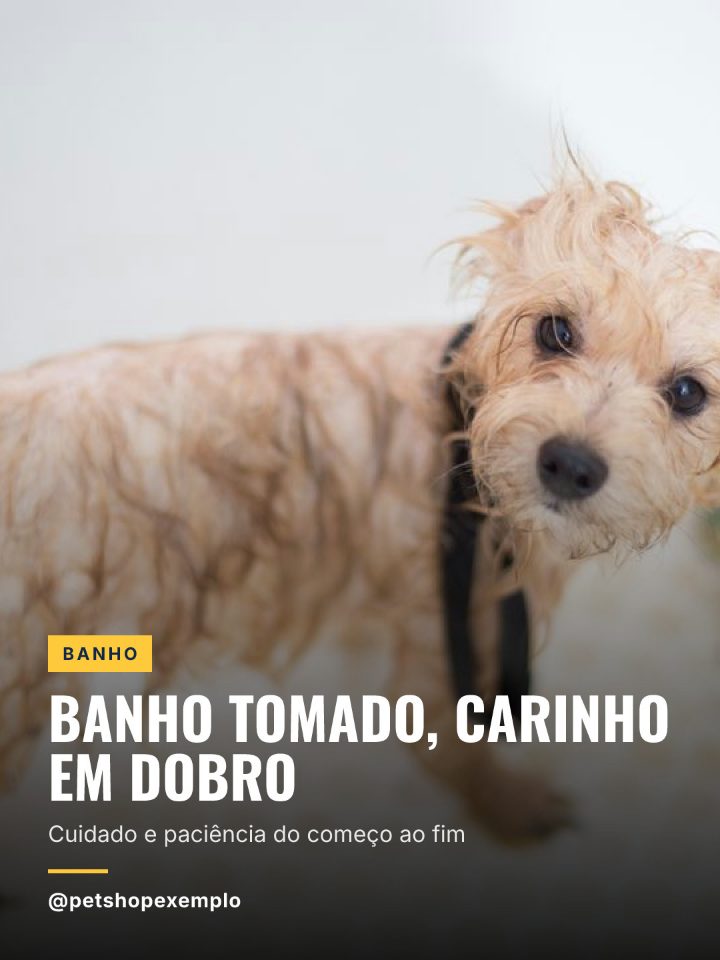 Arte de exemplo: banho tomado, carinho em dobro